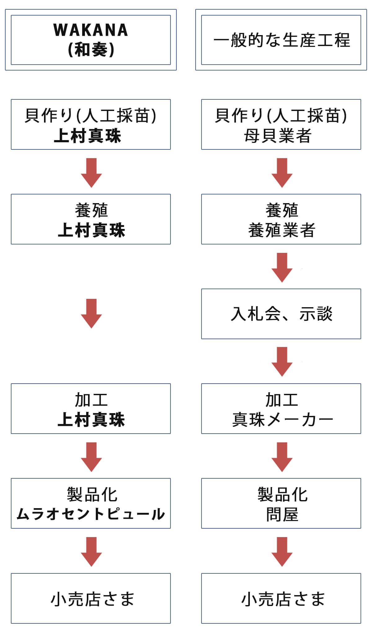 WAKANAあこや真珠の生産工程